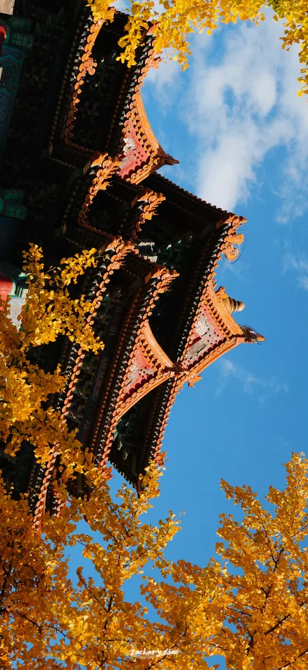 Temple eaves framed by autumn leaves and blue sky
