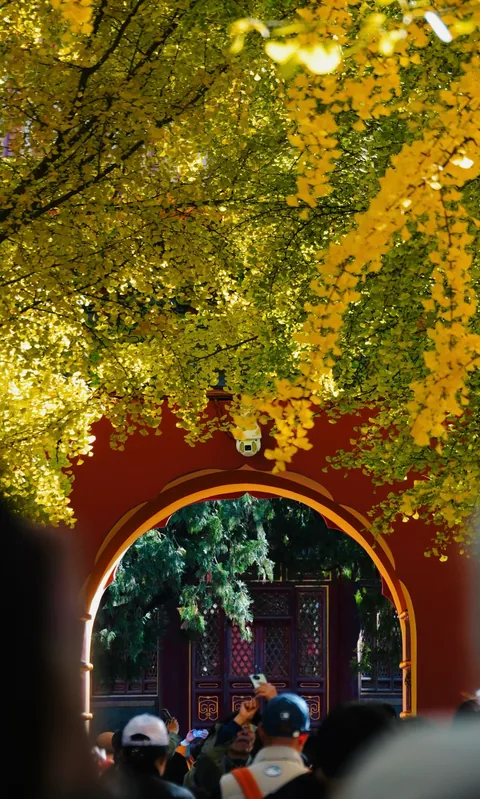 Visitors passing through a round gate beneath yellow leaves
