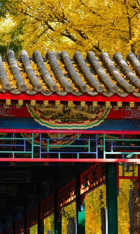 Painted temple beams beneath a tiled roof and golden foliage