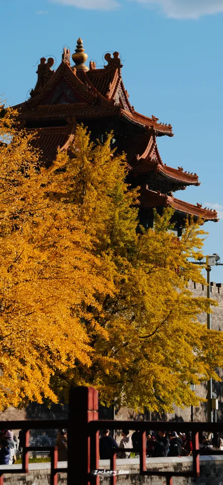 A temple tower rising behind yellow ginkgo trees