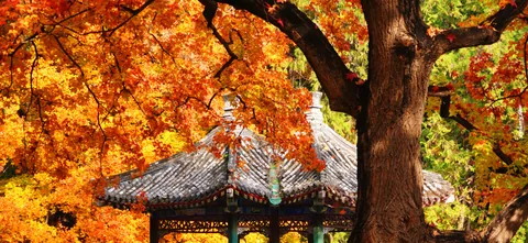A pavilion beneath a canopy of red and gold leaves
