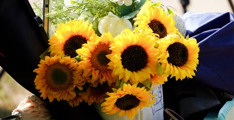 A bouquet of yellow sunflowers