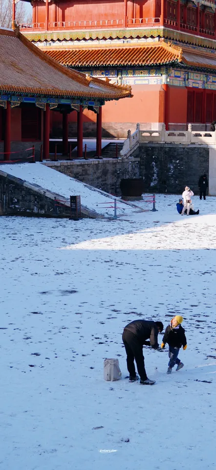 A small animal in the snow beside a palace wall