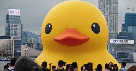A giant yellow duck on the waterfront