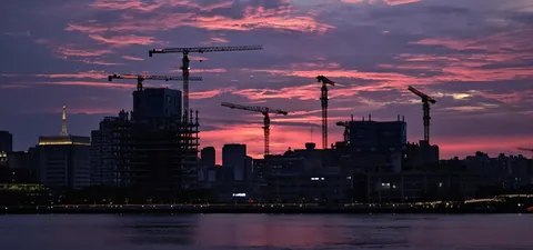 Cranes beneath dark pink evening clouds
