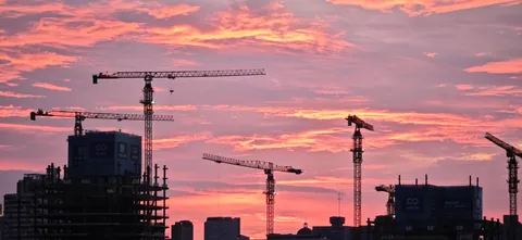 Cranes silhouetted beneath a pink sunset