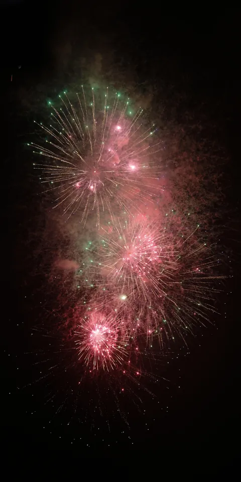 Red fireworks against the night sky