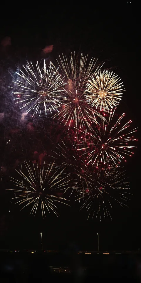 Fireworks filling the night sky